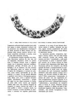 giornale/PAL0056929/1937-1938/unico/00000186