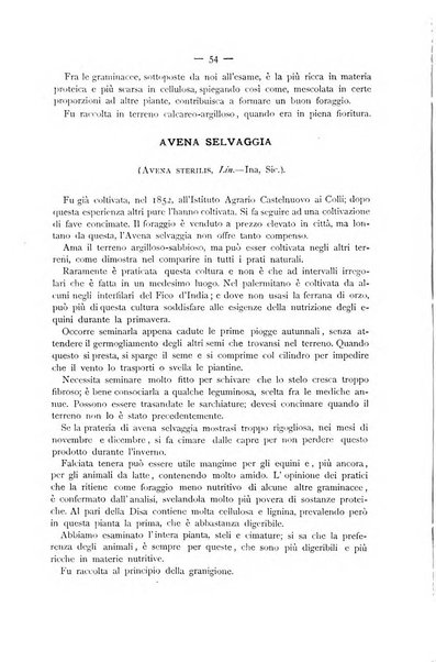 La Sicilia agricola giornale ebdomadario