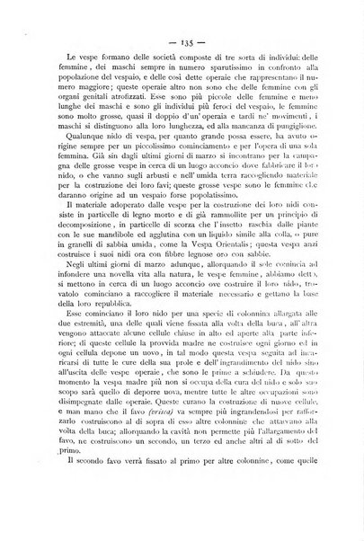 La Sicilia agricola giornale ebdomadario