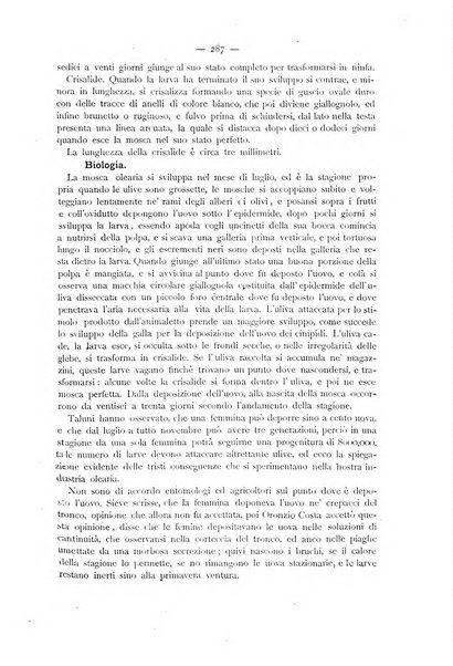 La Sicilia agricola giornale ebdomadario