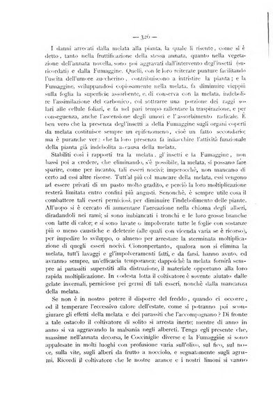 La Sicilia agricola giornale ebdomadario