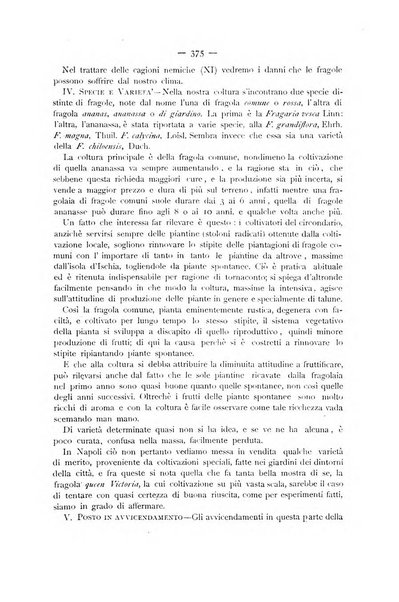 La Sicilia agricola giornale ebdomadario