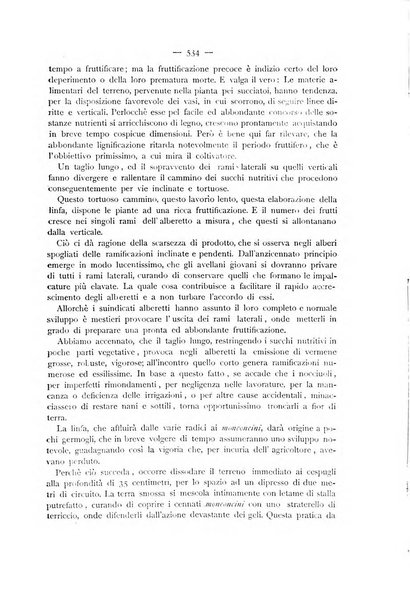 La Sicilia agricola giornale ebdomadario