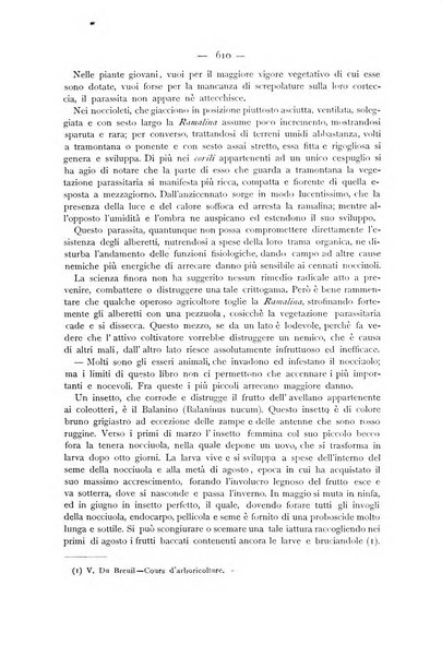 La Sicilia agricola giornale ebdomadario