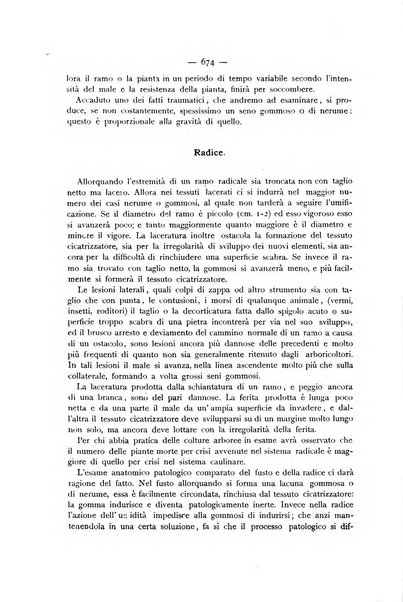 La Sicilia agricola giornale ebdomadario