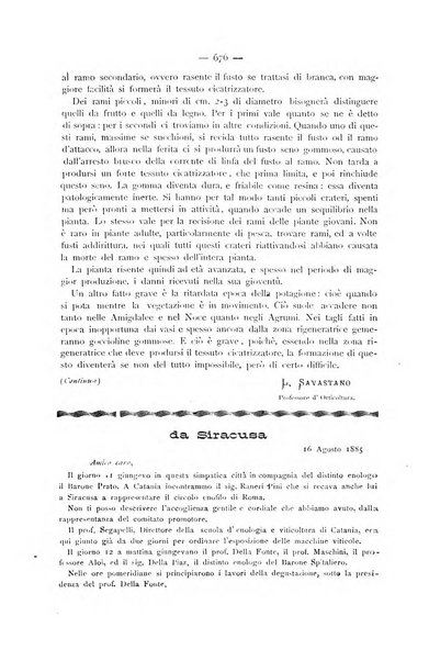 La Sicilia agricola giornale ebdomadario