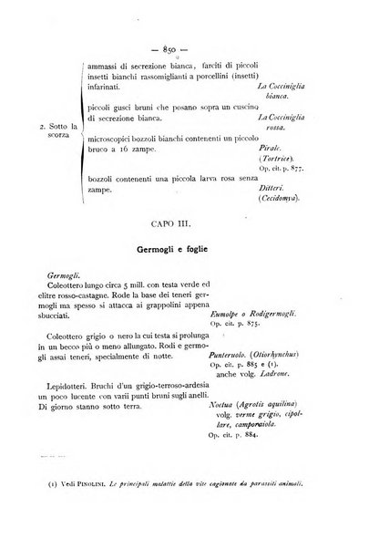 La Sicilia agricola giornale ebdomadario