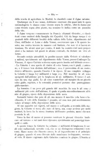 La Sicilia agricola giornale ebdomadario