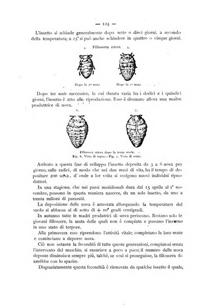 La Sicilia agricola giornale ebdomadario