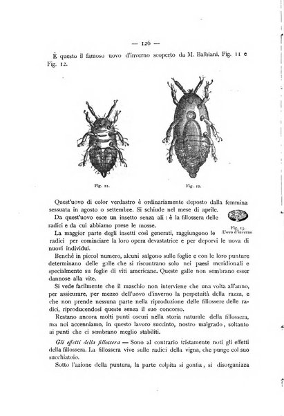 La Sicilia agricola giornale ebdomadario