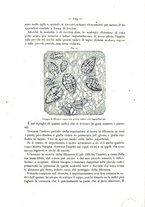 giornale/PAL0081923/1887/unico/00000159