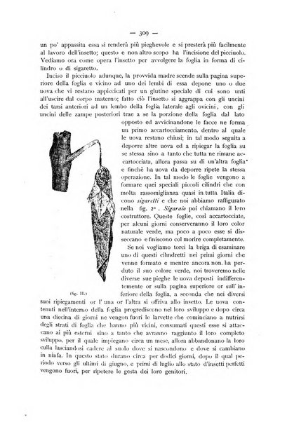 La Sicilia agricola giornale ebdomadario