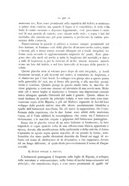 La Sicilia agricola giornale ebdomadario