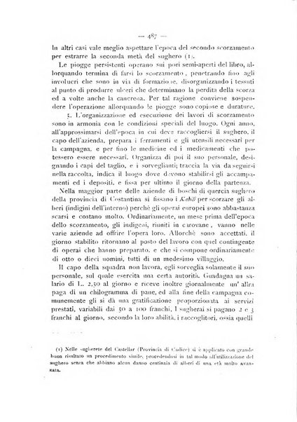 La Sicilia agricola giornale ebdomadario