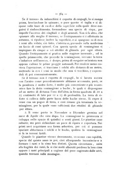 La Sicilia agricola giornale ebdomadario