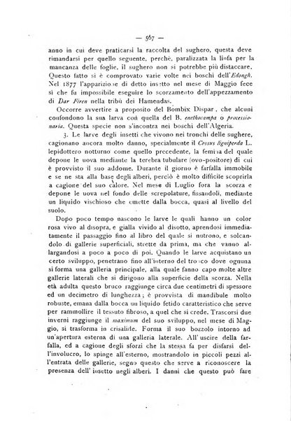 La Sicilia agricola giornale ebdomadario