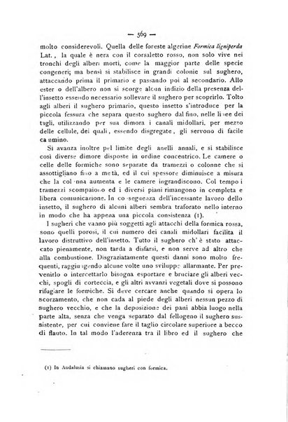 La Sicilia agricola giornale ebdomadario