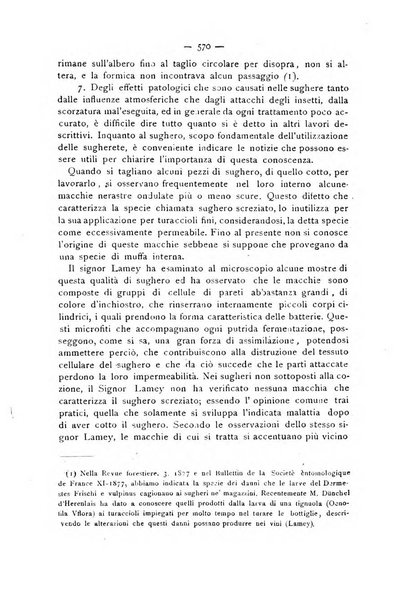 La Sicilia agricola giornale ebdomadario