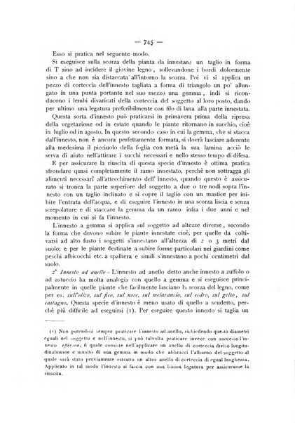 La Sicilia agricola giornale ebdomadario