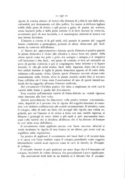 La Sicilia agricola giornale ebdomadario