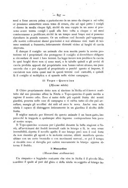 La Sicilia agricola giornale ebdomadario