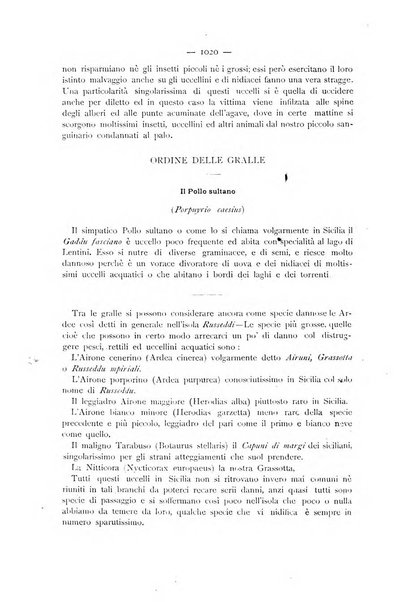 La Sicilia agricola giornale ebdomadario