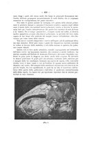 giornale/PAL0088016/1910/unico/00000659