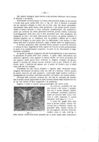 giornale/PAL0088016/1911/unico/00000229