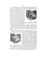 giornale/PAL0088016/1911/unico/00000232