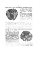 giornale/PAL0088016/1911/unico/00000235