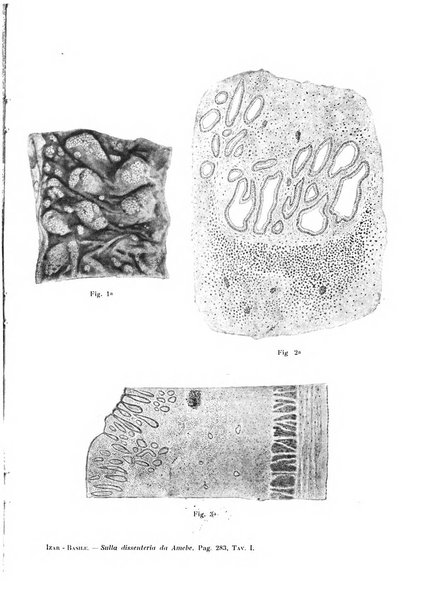 Annali di clinica medica