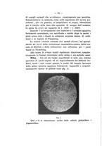 giornale/PAL0088016/1915/unico/00000098