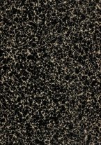 giornale/PAL0088016/1916/unico