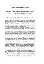giornale/PAL0088016/1917-1918/unico/00000203