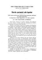 giornale/PAL0088016/1922-1923/unico/00000062