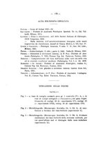 giornale/PAL0088018/1923/unico/00000184