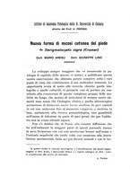 giornale/PAL0088018/1923/unico/00000370