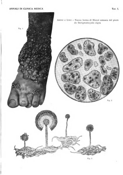 Annali di clinica medica e di medicina sperimentale