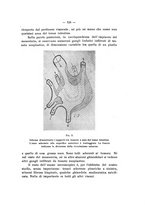 giornale/PAL0088018/1928-1929/unico/00000151