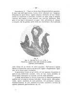 giornale/PAL0088018/1929/unico/00000334