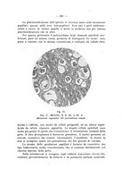 giornale/PAL0088018/1929/unico/00000335