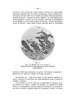 giornale/PAL0088018/1929/unico/00000340