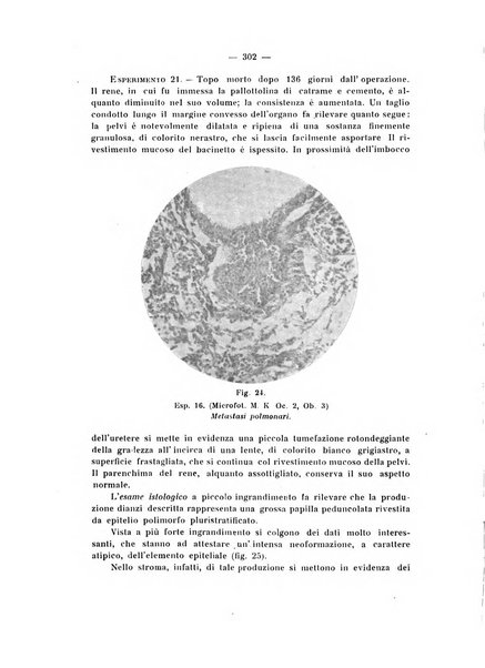 Annali di clinica medica e di medicina sperimentale