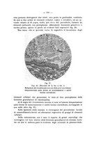 giornale/PAL0088018/1929/unico/00000349