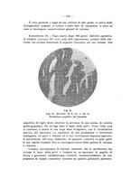 giornale/PAL0088018/1929/unico/00000350