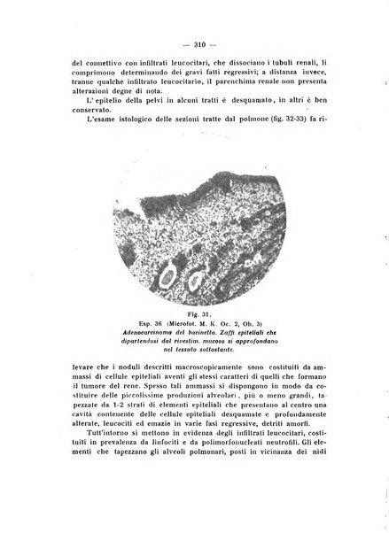 Annali di clinica medica e di medicina sperimentale