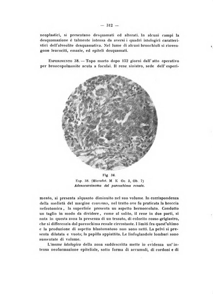 Annali di clinica medica e di medicina sperimentale