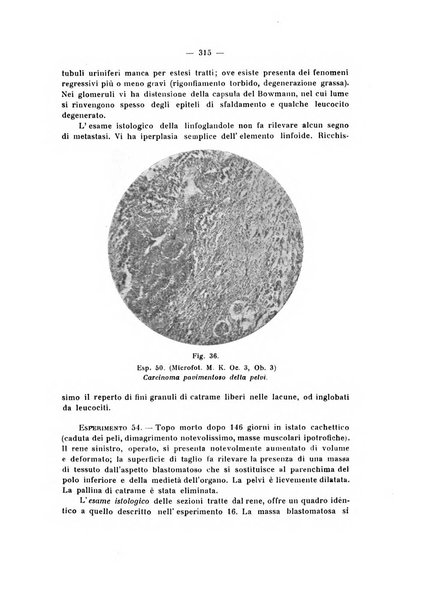 Annali di clinica medica e di medicina sperimentale