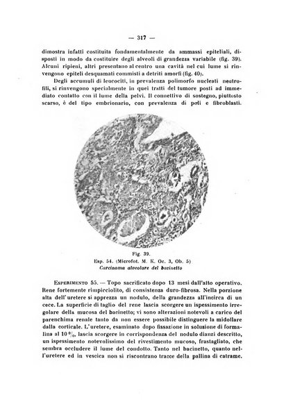 Annali di clinica medica e di medicina sperimentale