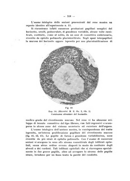 Annali di clinica medica e di medicina sperimentale